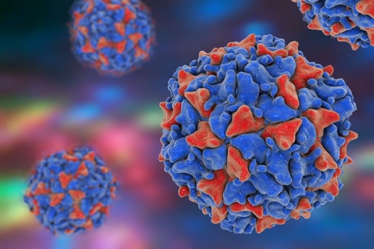 Профилактика полиомиелита