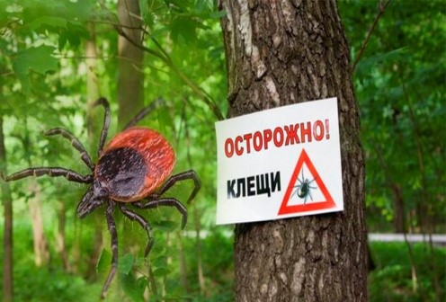 Сезон клещей продолжается