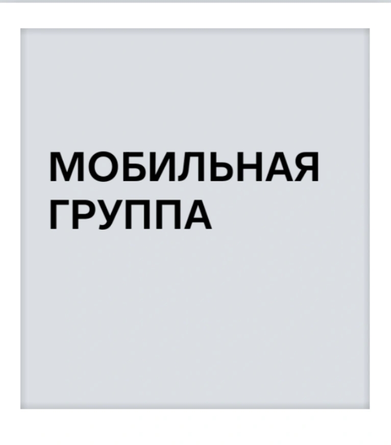 Мобильная группа