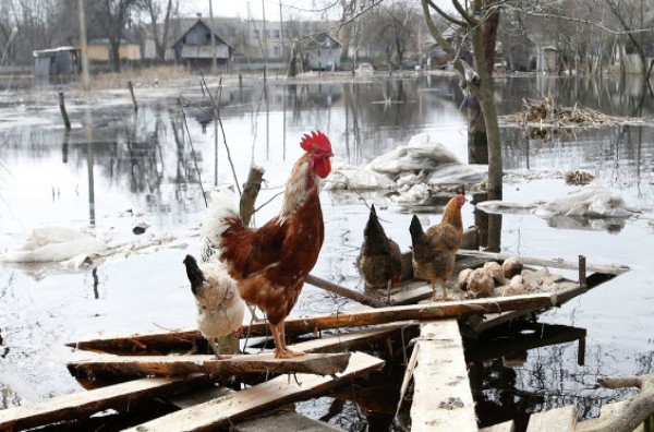 В чем опасность паводка