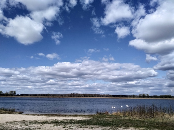 О санитарном содержания зон рекреации Рогачевского района