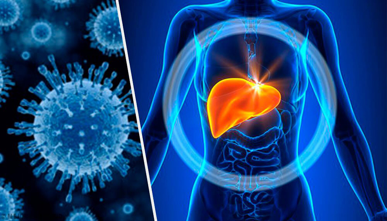 Эпидемиологическая ситуация по парентеральным вирусным гепатитам в Рогачёвском районе
