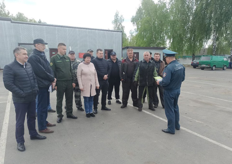 В Рогачевском районе прошло специальное профилактическое мероприятие «Зеленый щит»